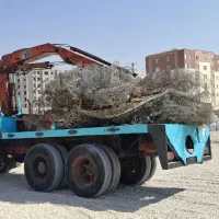 جرثقیل ۱۰ تن و ۳تن جابجایی حمل نقل|خدمات حمل و نقل|شیراز, پانصد دستگاه ارتش|دیوار