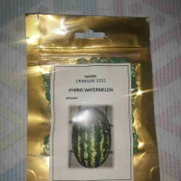 بذر هندوانه