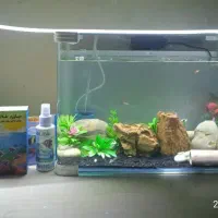 آکواریوم شرکتی و پمپ هوا تکمیل