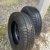 لاستیک