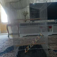 قفس پرنده بزرگ