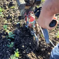 کار با کلتیواتور