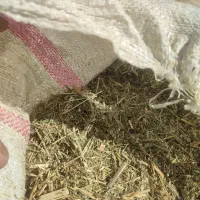 خوراک دام یونجه تمیز خرمنکوب|لوازم جانبی حیوانات|دهدشت, |دیوار