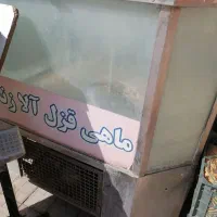 فروش آکواریوم ماهی زنده