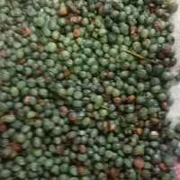 بن تازه|حراج|مسجد سلیمان, |دیوار