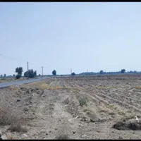 فروش سه هکتارونیم زمین کشاورزی زیارت مولامیناب