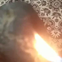 سنگ پادزهر جه استفاده در طب سنتی