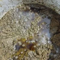 سبزی قورمه و شوید تازه|خوردنی و آشامیدنی|تهران, علم و صنعت|دیوار