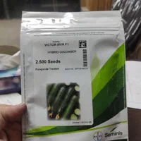 بذر خیار ویکتور