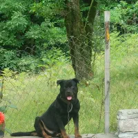 پیدا کردن جفت