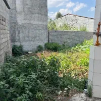 زمین فروشی۱۱۴ متر|فروش زمین و ملک کلنگی|قائم‌شهر, |دیوار