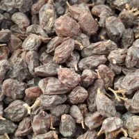 کشمش دستچین محصول امسال