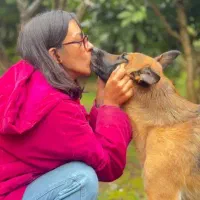 تربیت سگ مربی سگ حرفه ای