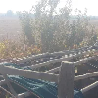 باغ فروشی نوش آباد|فروش دفتر صنعتی، کشاورزی، تجاری|آران و بیدگل, |دیوار