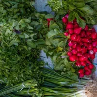 سبزی خورشتی