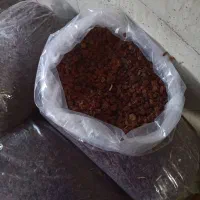 کشمش ابگیری درجه ۱