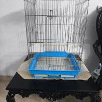 قفس عروس هلندی همراه با غذا تقویتی