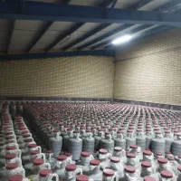 خیار شور همدان