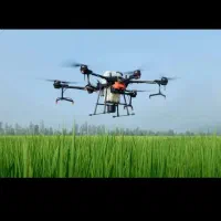 خدمات سم پاشی هوایی مزارع   محتشم