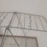 بندرخت سایزبزرگ