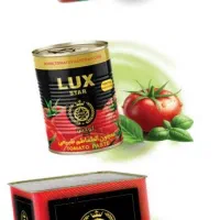 رب گوجه و خیار شور