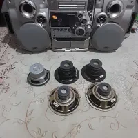 ضبط و باند خانگی