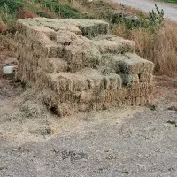 پرس یونجه خشک اجباری تعداد ۱۰۰ تا