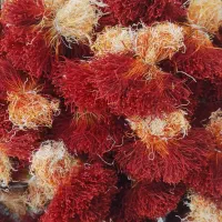 زعفران اصل قائنات