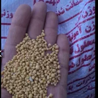 کود دی آمونیوم فسفات،رازی به قیمت کارخانه