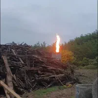 زغال کبابی/زغال اسکلت /گیلان|عمده‌فروشی|کلاچای, |دیوار