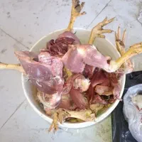 تلفات مرغ گوشتی