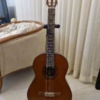 فروش گیتار