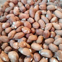 محصولات بادام زمینی پارس آباد|عمده‌فروشی|پارس‌آباد, |دیوار