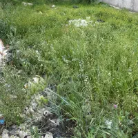 فروش زمین کلدوزخ ۲