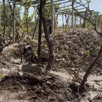 حفاری چاه اب|خدمات پیشه و مهارت|چهاربرج, |دیوار