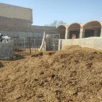 کود گاوی ،یک دست بدون خاک وغیره|خدمات باغبانی و درختکاری|کاشمر, |دیوار