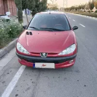 ۲۰۶ تمام رنگ البالویی