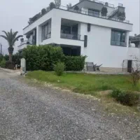 یه-پلاک-از-بهشت-قابل-ساخت-پلاک-جنگل