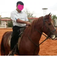 اسب سواری در باشگاه لیث