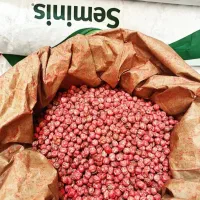 بذر نخود فرنگی اتریلو ترکیه ایتالیا|خدمات باغبانی و درختکاری|گنبد کاووس, |دیوار