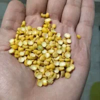 لوبیا چیتی ولپه|خوردنی و آشامیدنی|قم, چهار مردان|دیوار