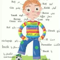 اموزش ترکی استانبولی به صورت فشرده