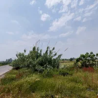 زمین صنعتی بر خیابان اصلی تهاتر دارد|فروش دفتر صنعتی، کشاورزی، تجاری|آمل, |دیوار