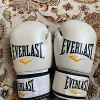 دستکش بوکس اورلست Everlast مدل FITER2023