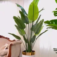 درخچه های مصنوعی وارداتی|گل مصنوعی|فردیس, قریشی|دیوار