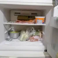 یخچال بدون برفک|یخچال و فریزر|قدس, شهر‌قدس|دیوار