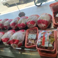 مرغ و گوشت پدیده