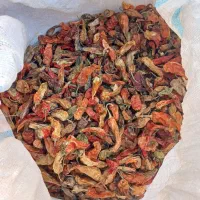 فلفل تند خوشک هستش کسی خواست درختمتم