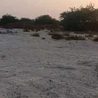 زمبن