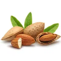 فروش بادام